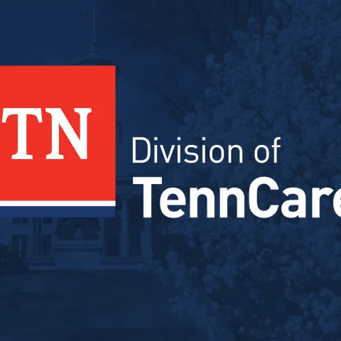 On a blue background, a red square with white letters spelling "TN", and to the right "Division of TennCare" in white letters
