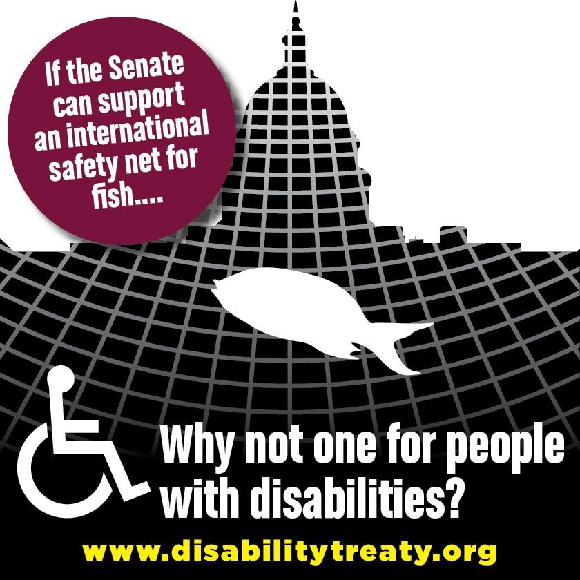 Support the CRPD