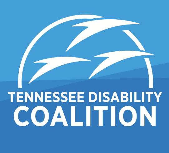 TDC Logo - 3 geese against a two tone blue background with white text that says Tennessee Disability Coalition