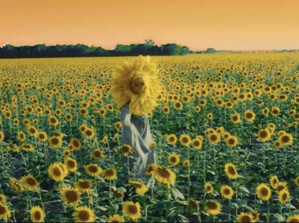 Person dressed like a sunflower in a field of sunflowers