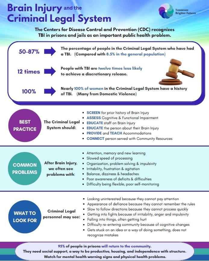 Brain Injury and the Criminal Legal System Brain Injury and the Criminal Legal System