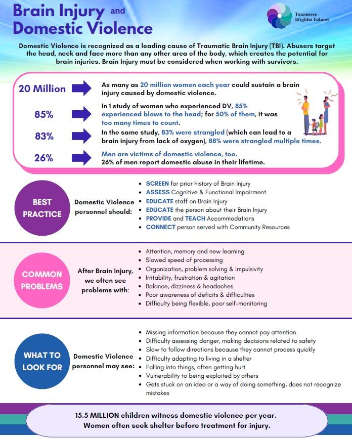 Brain Injury & Domestic Violence Infographic