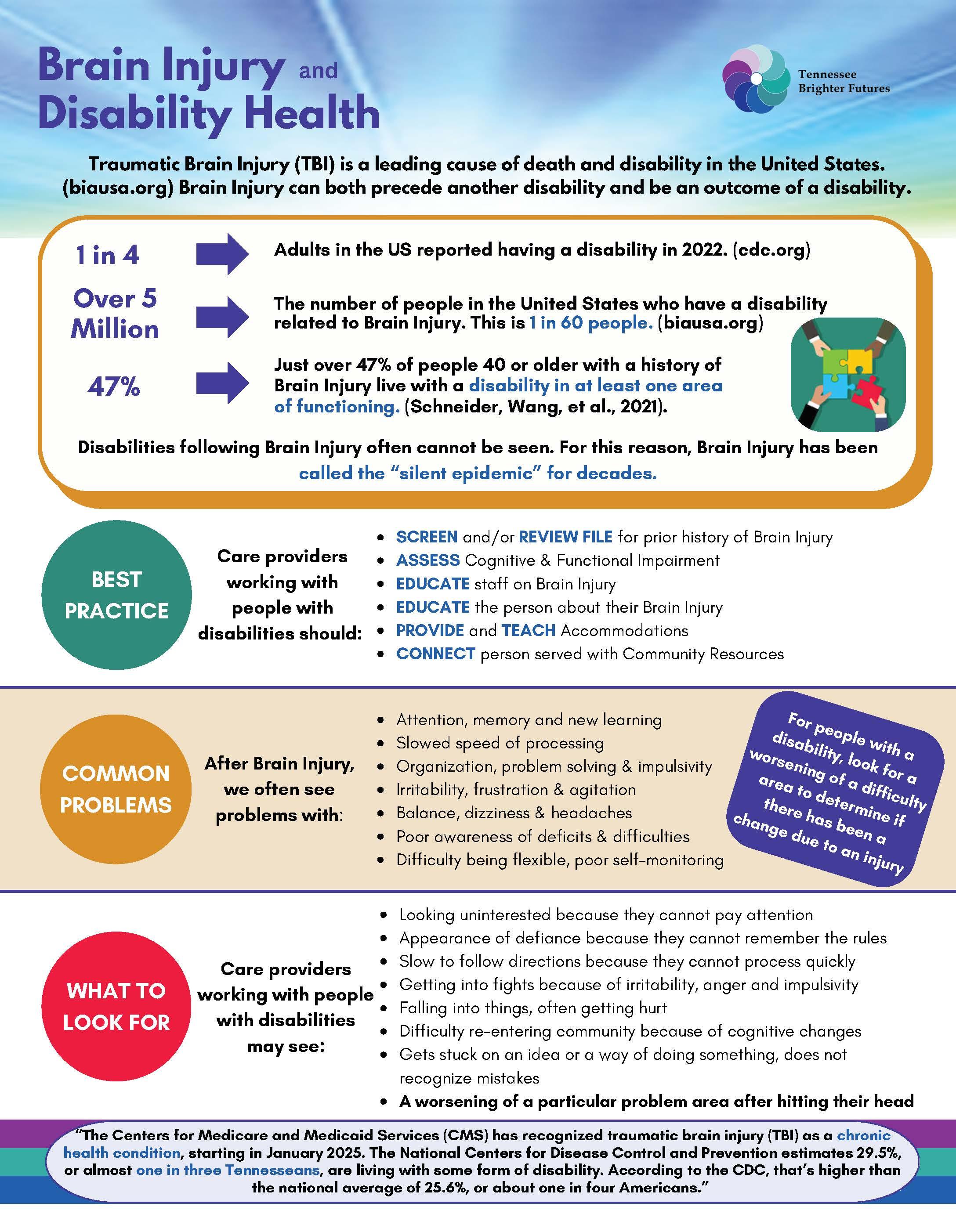 Brain INjury & Disability Health Infographic 2025