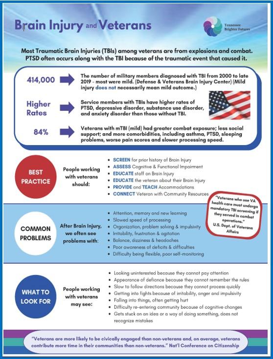 Brain Injury & Veterans Infographic